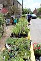 Allotments Plant Stall